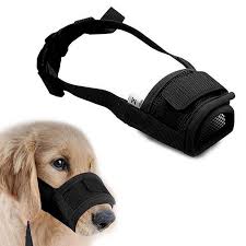 Dog Mask