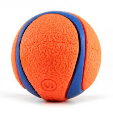 Pet Ball Toy